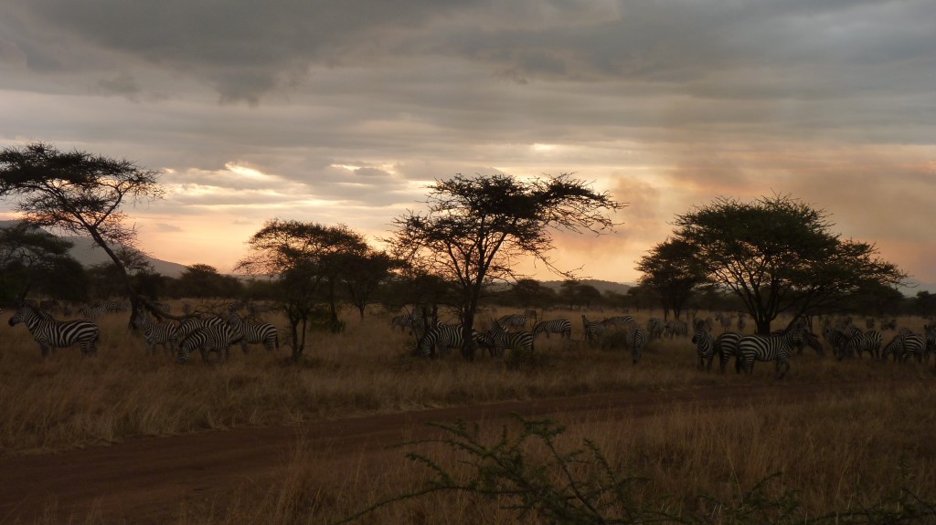 Camping in the Serengeti
