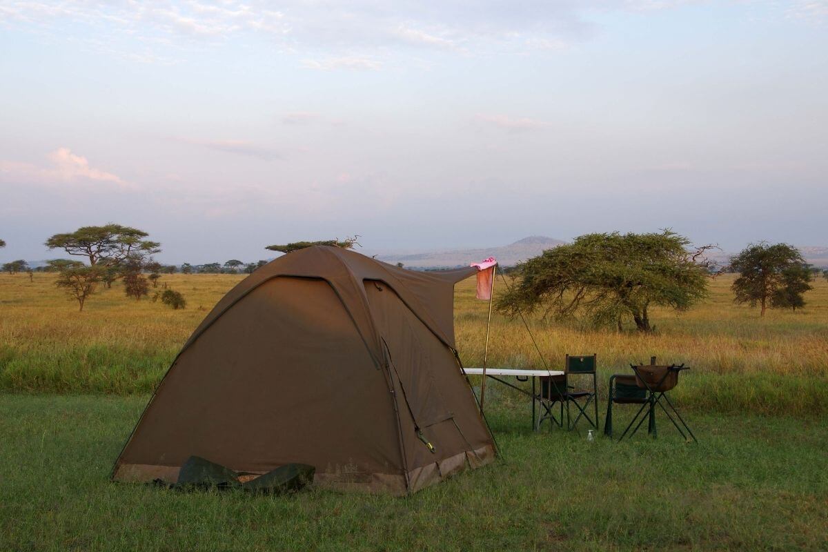 serengeti campsite
