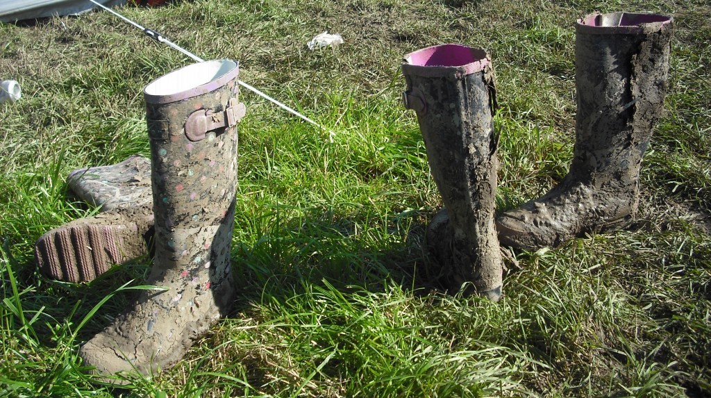 Glastonbury Advice and help