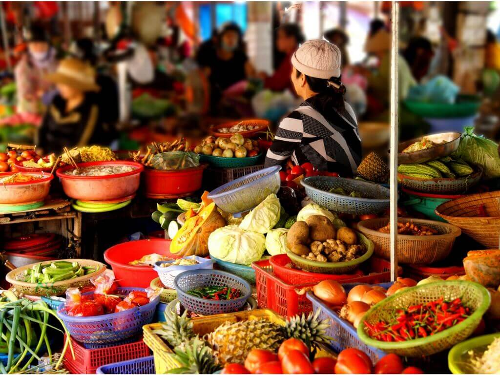 Two weeks in Vietnam