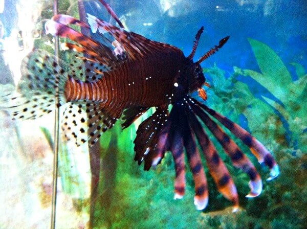 Two weeks in Vietnam