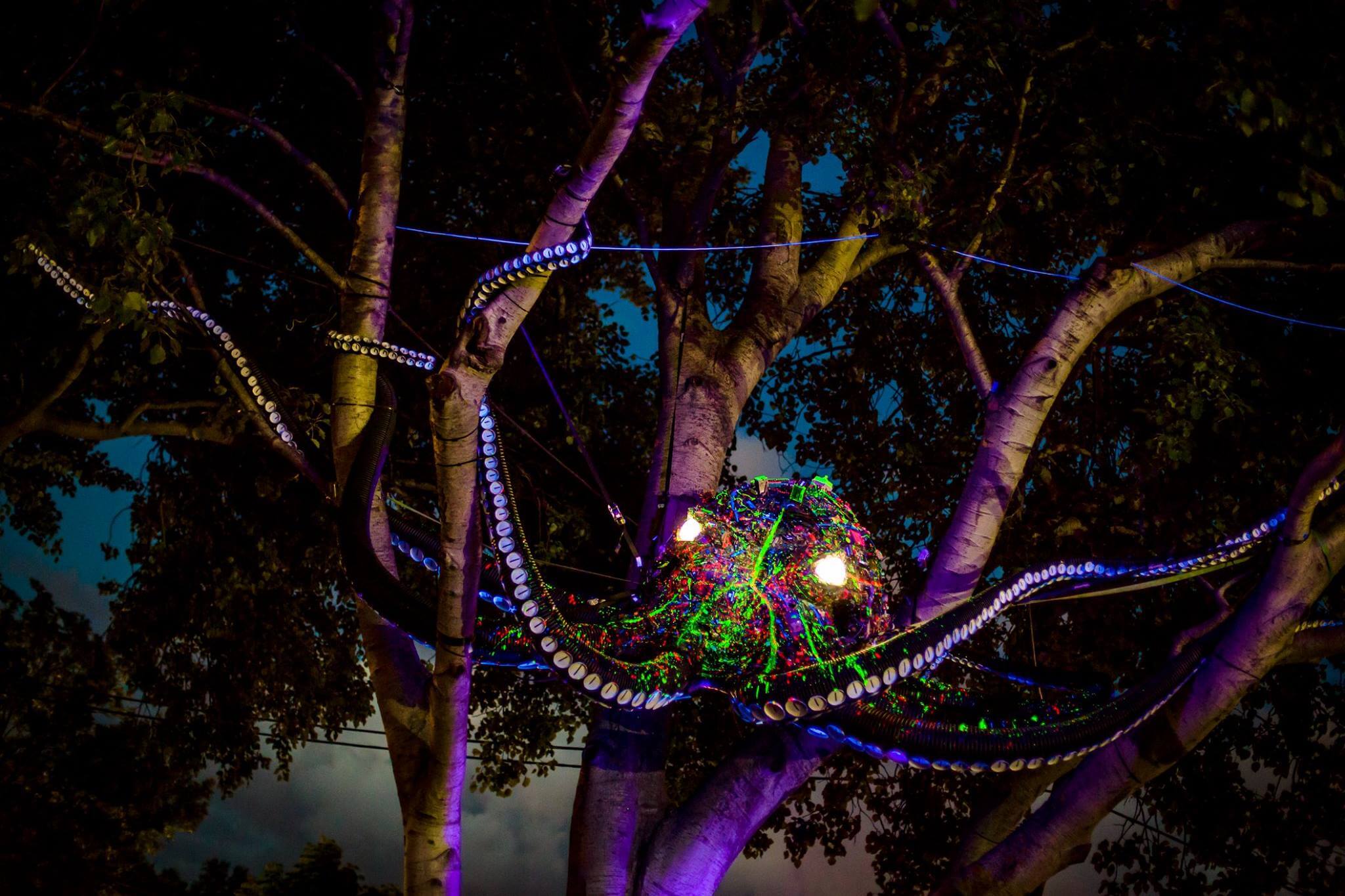 Review of Sziget Festival