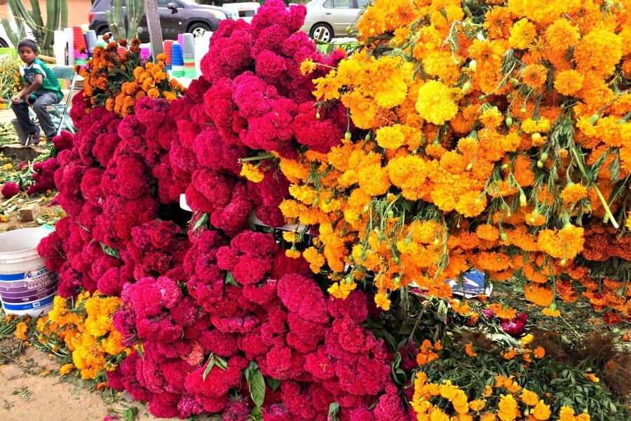 Day of the Dead flowers