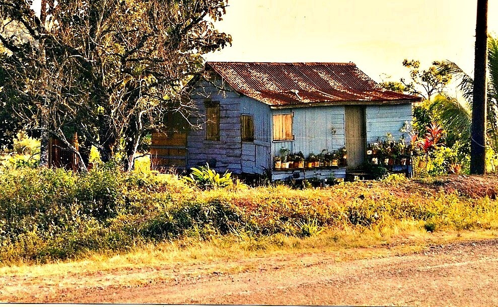 two week trip to belize