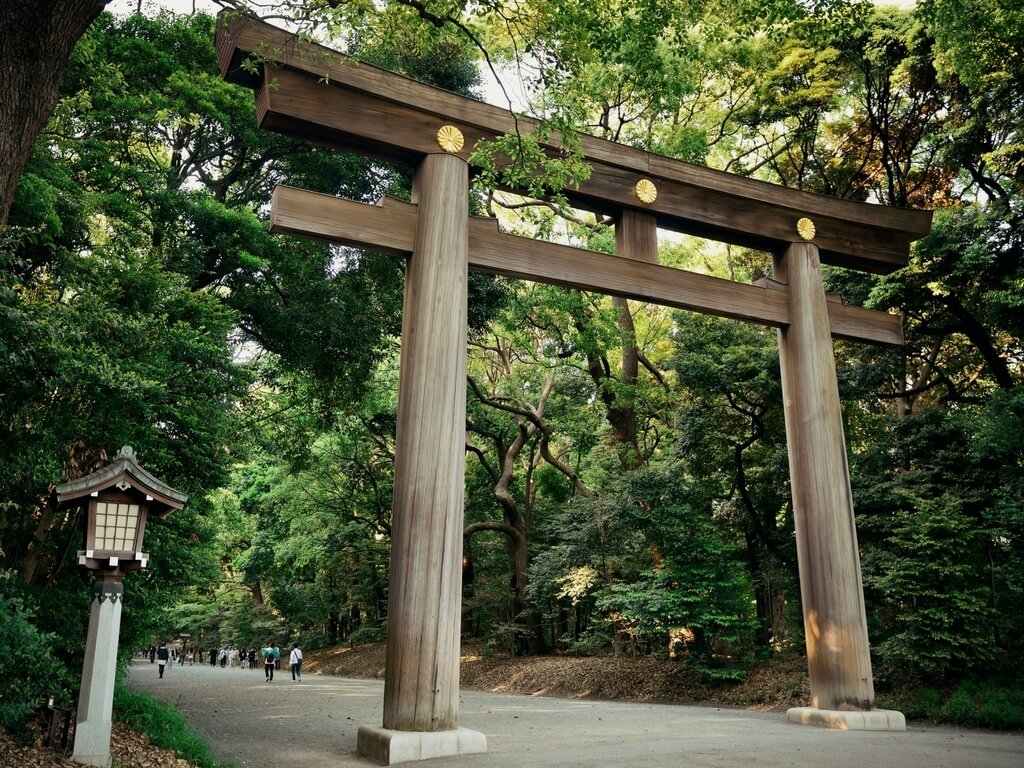 things to do in tokyo