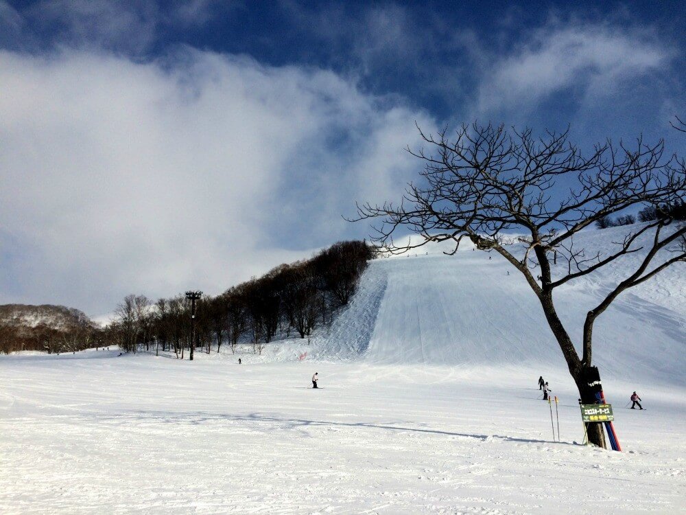 skiing in japan 