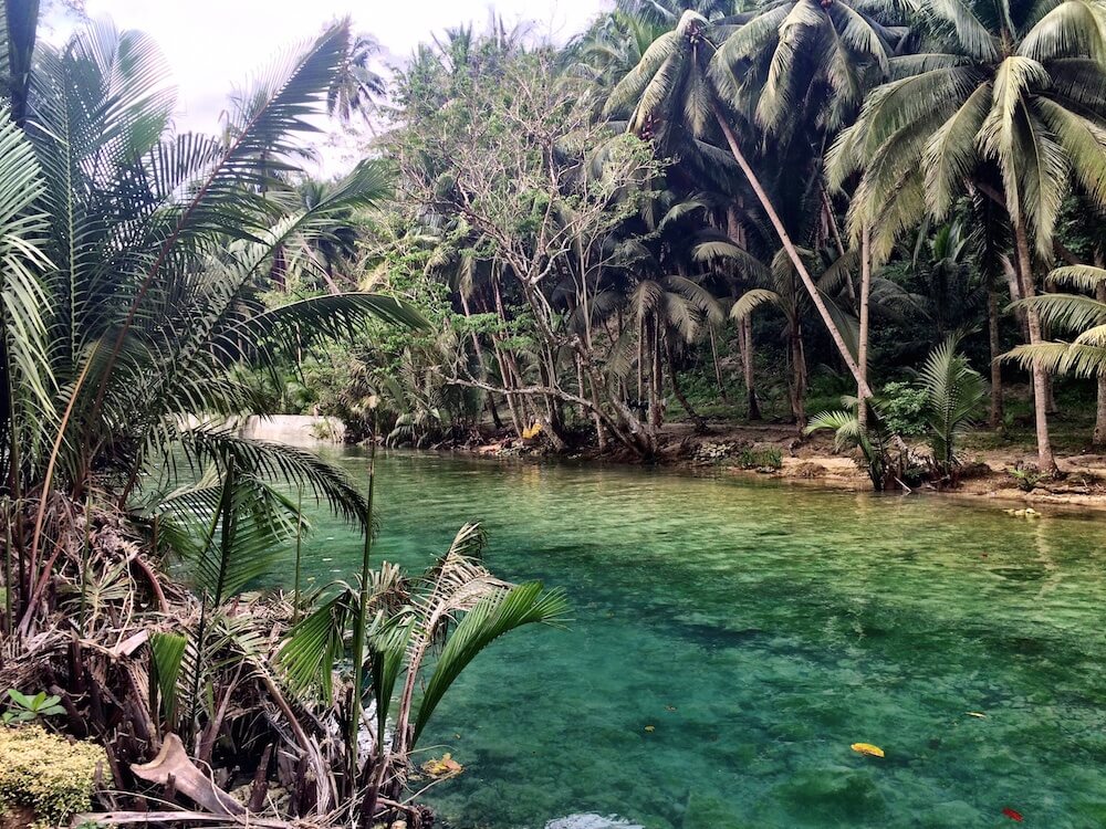 Cebu and Kawasan Falls