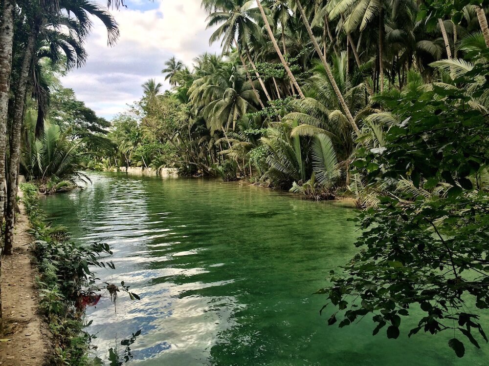 Exploring Kawasan Falls 