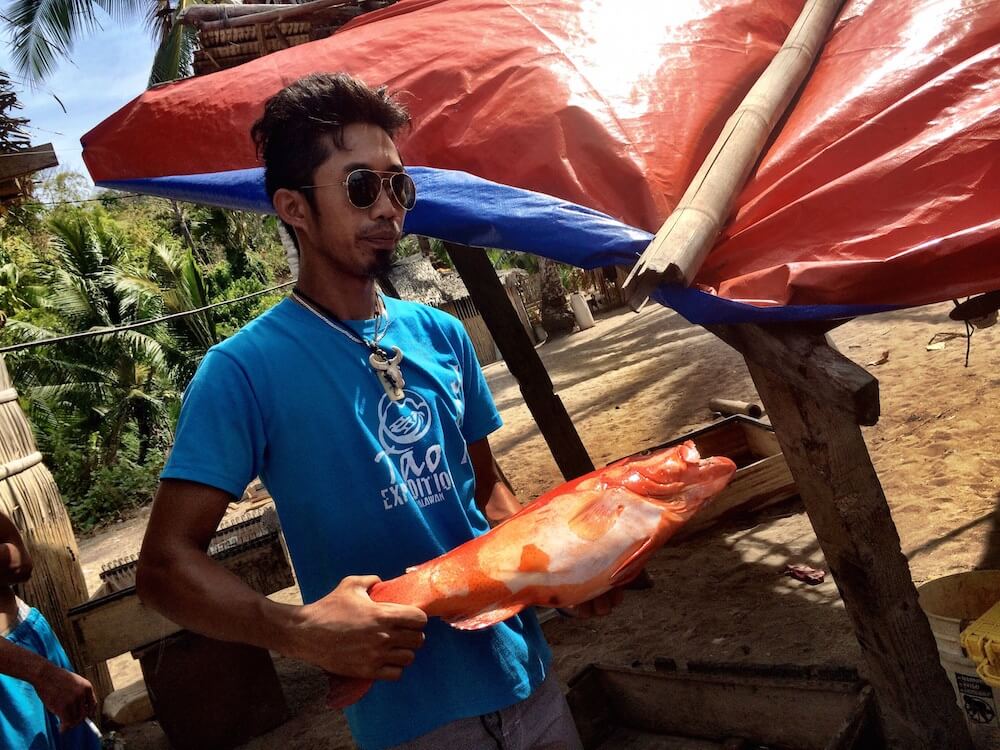 Fish in the Philippines