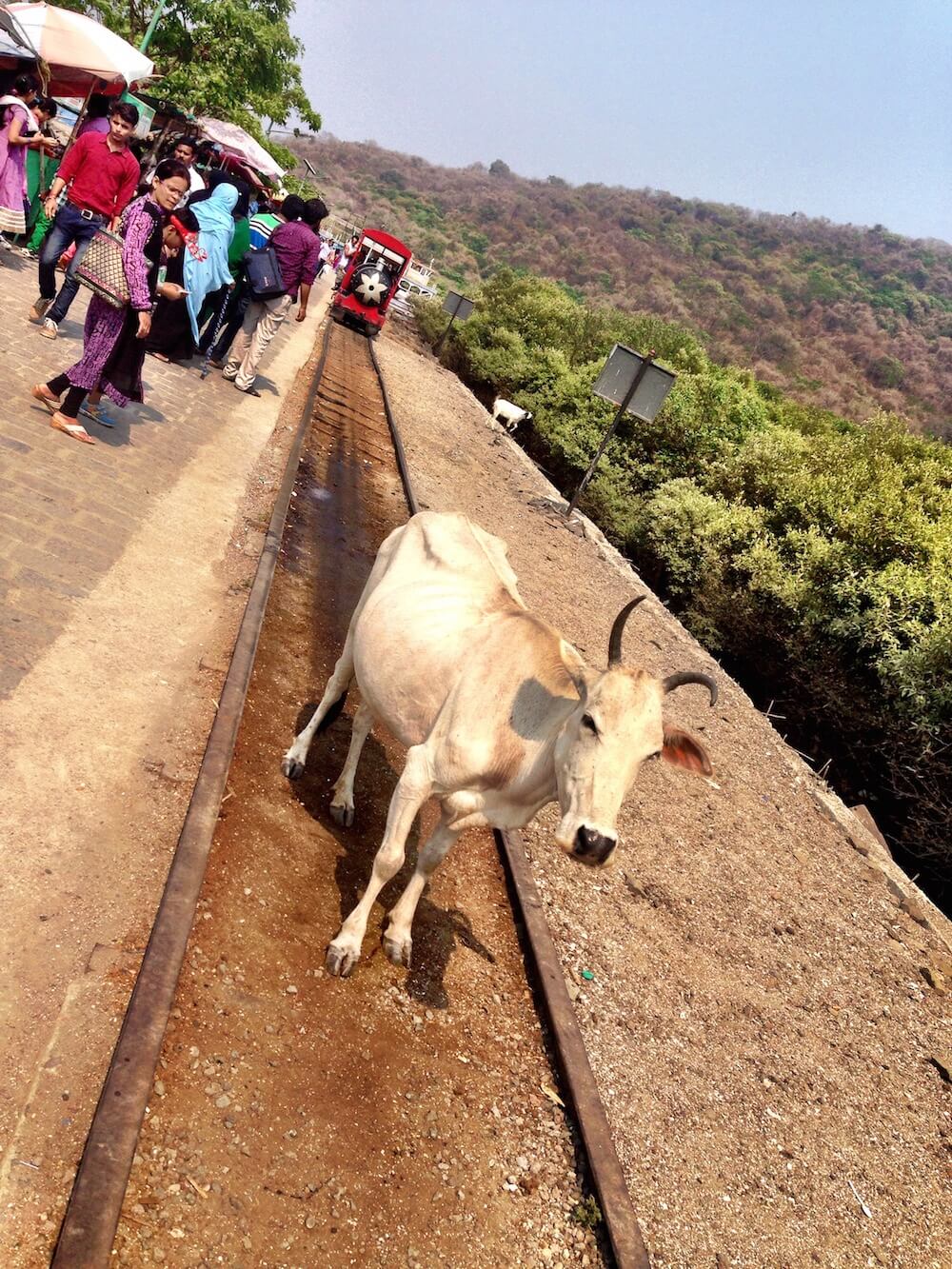 Exploring India what not to do