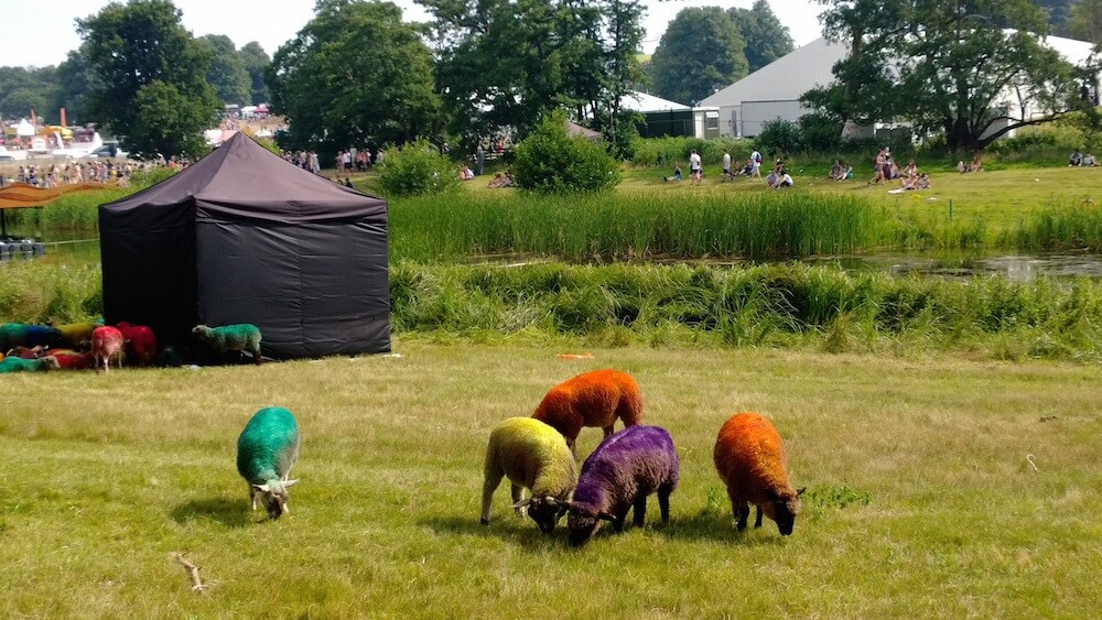 reasons to go to latitude