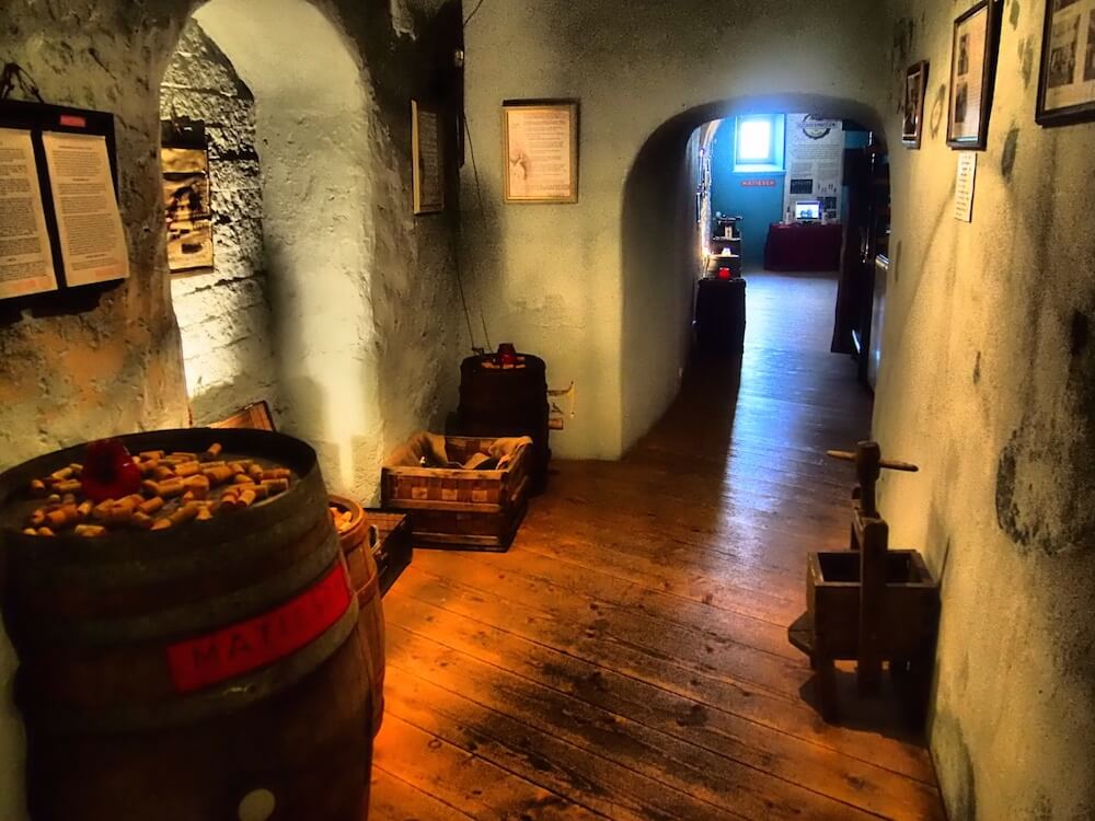 wine-museum-tallinn
