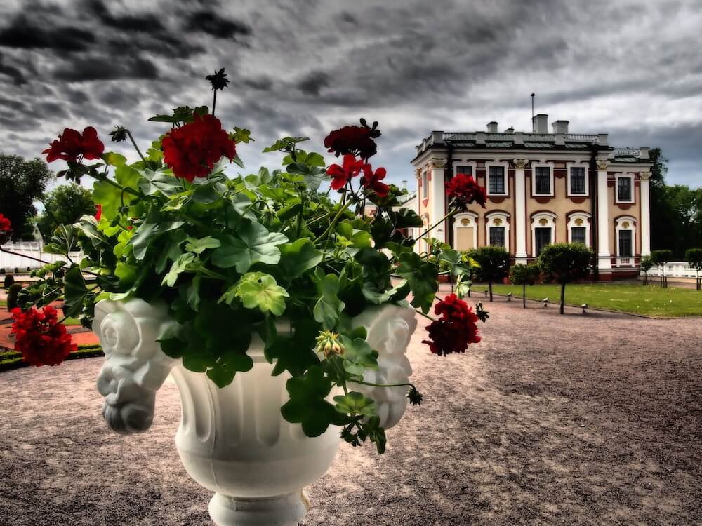 palace-tallinn-photos