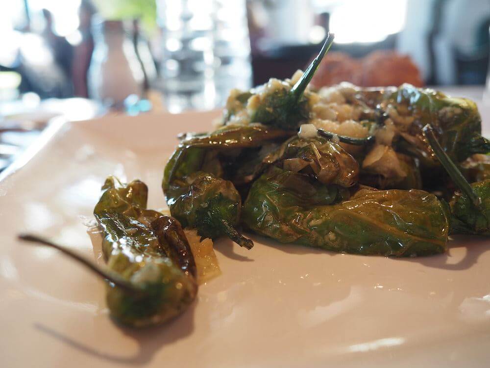 U le le Tampa day out