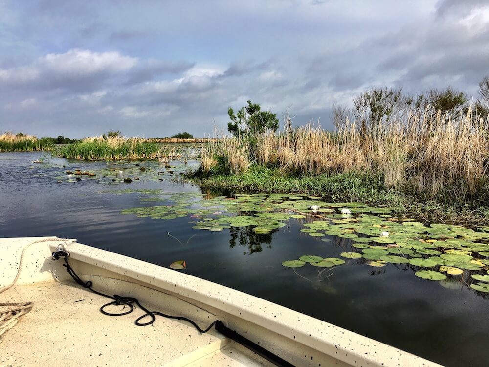 The nature of Lake Charles
