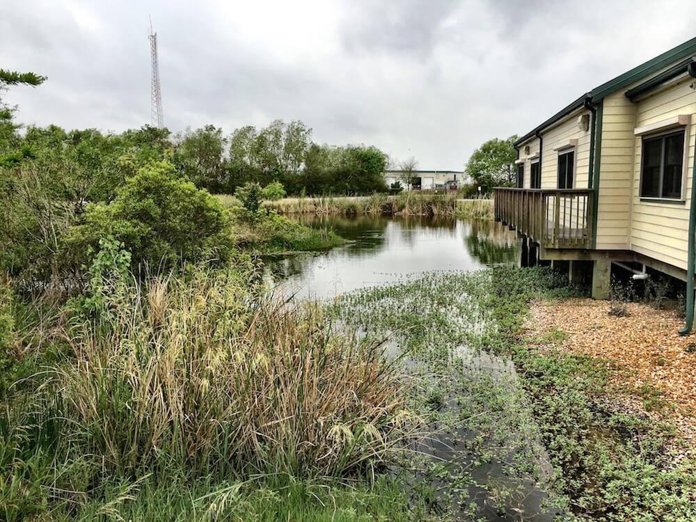 Nature in Lake Charles