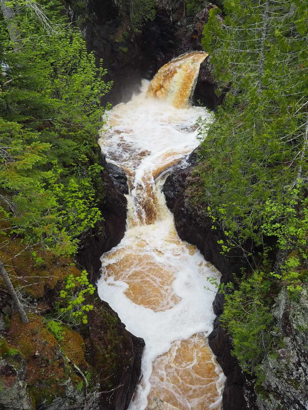 What's in Minnesota for you?