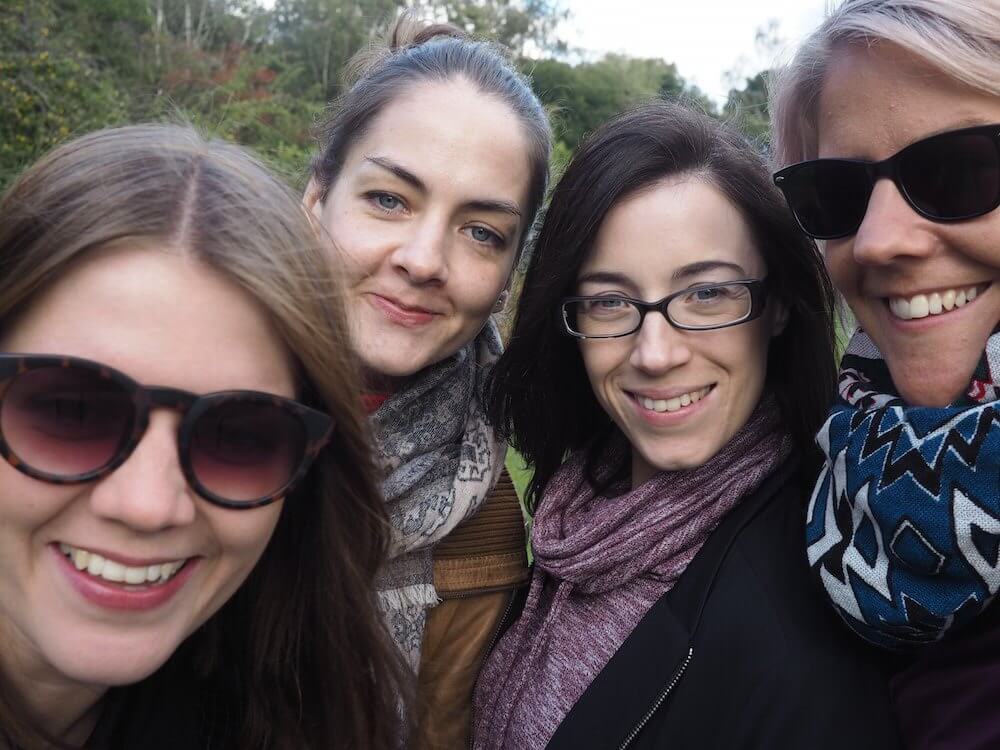 Weekend in the New Forest