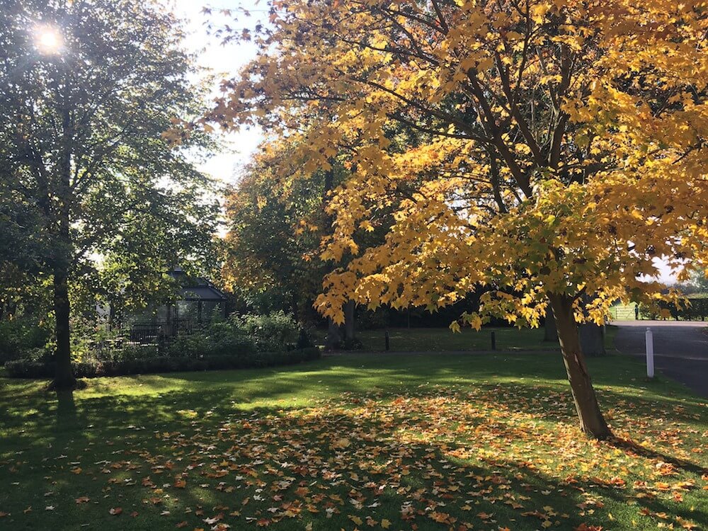 Outdoors at Ragdale Hall