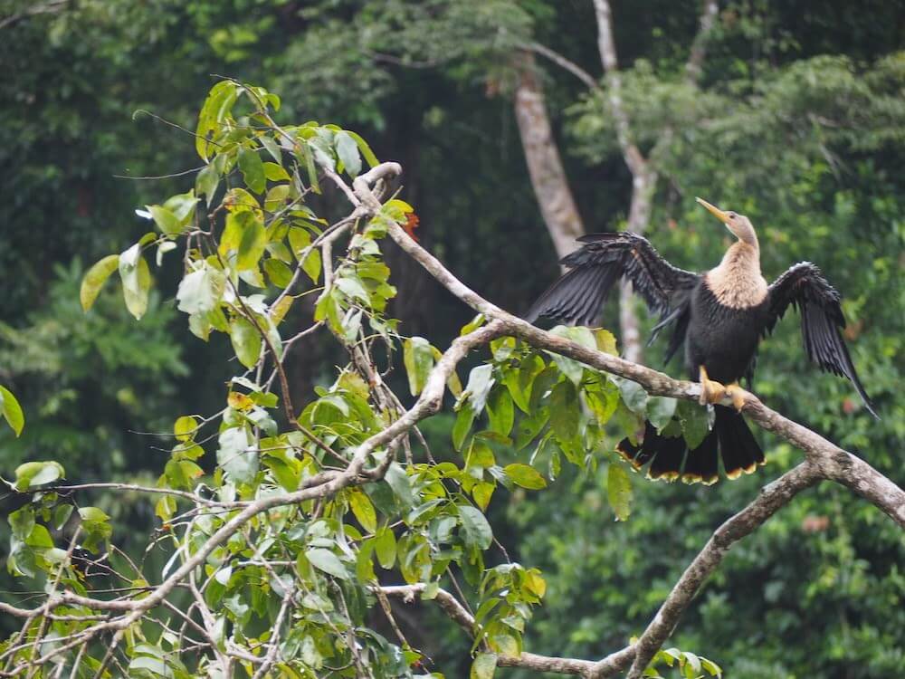 What's Costa Rica like?