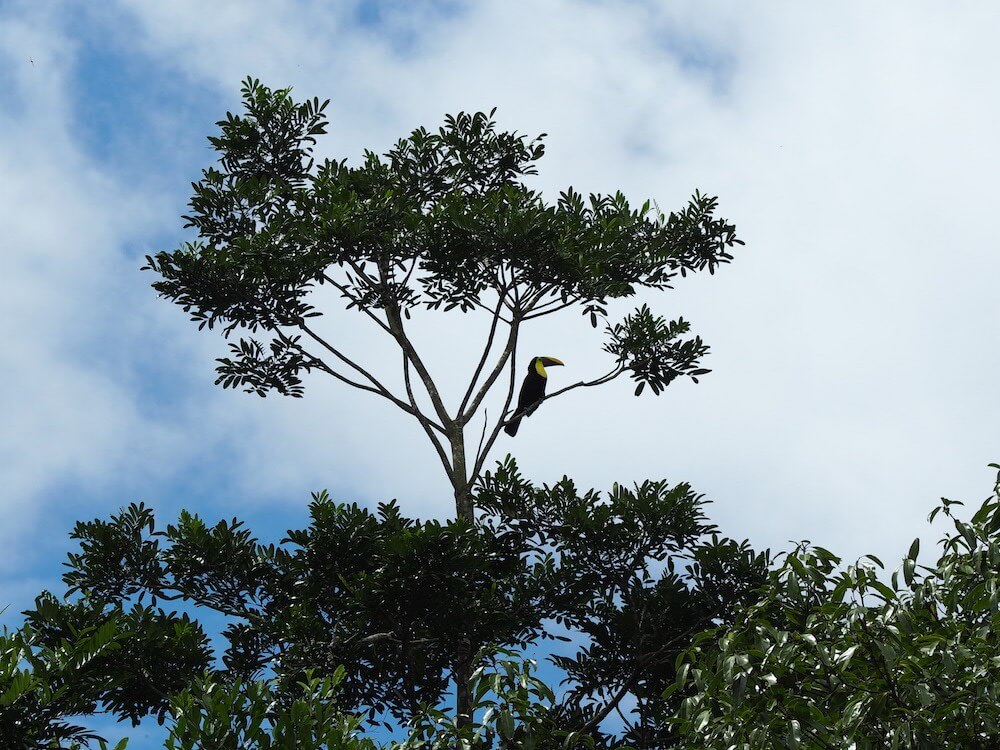 What is Costa Rica like?