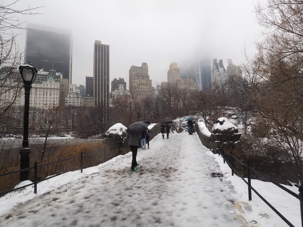 Central Park at Christmas