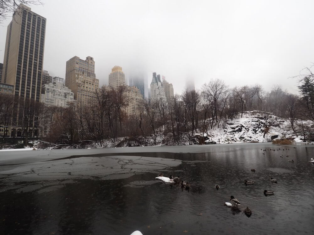 Christmas in New York