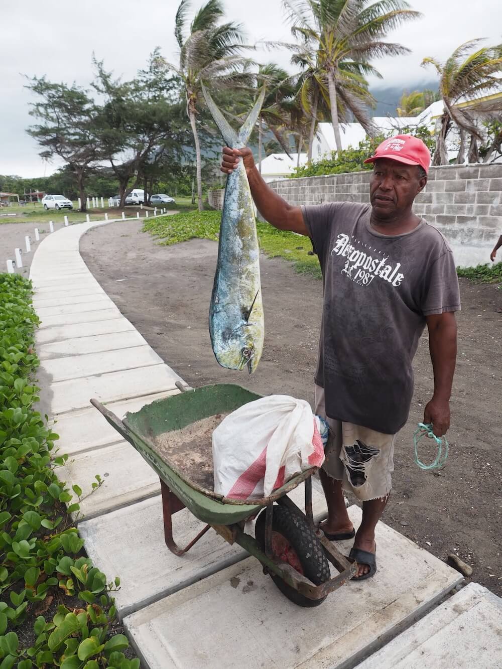 Food to eat in St Kitts