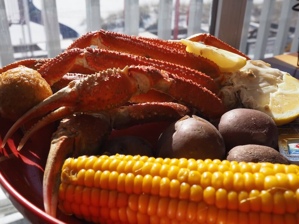 reasons to visit the Gold Coast