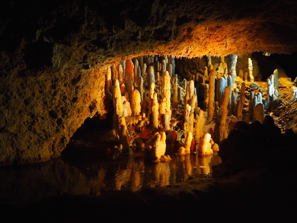 Week holiday to Barbados