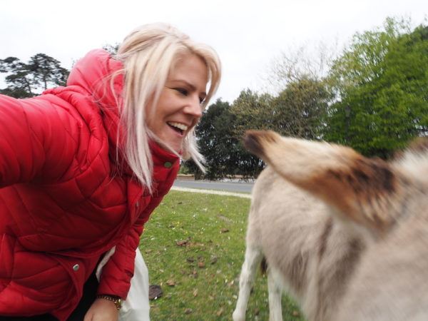 Jurassic Coast Road Trip