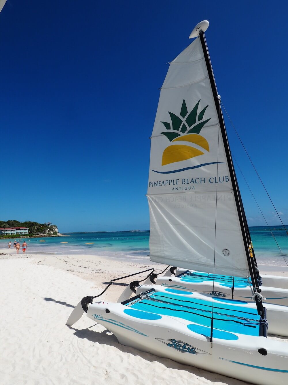 Pineapple-Beach-Club on the beach