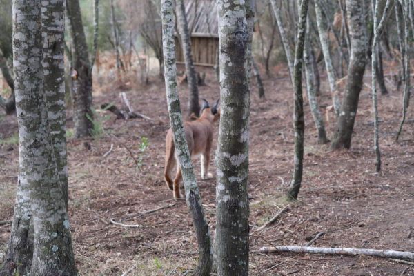 Reasons to Visit Knysna