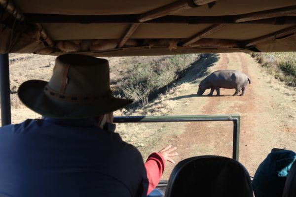 reasons to visit Knysna