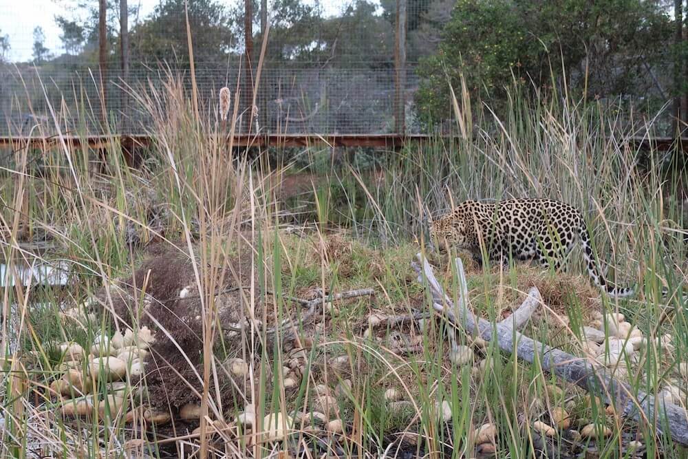 Reasons to Visit Knysna