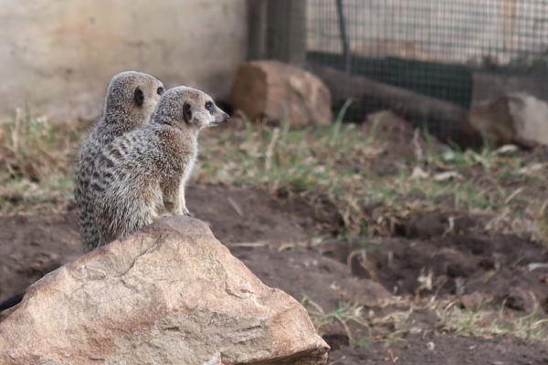 Reasons to Visit Knysna