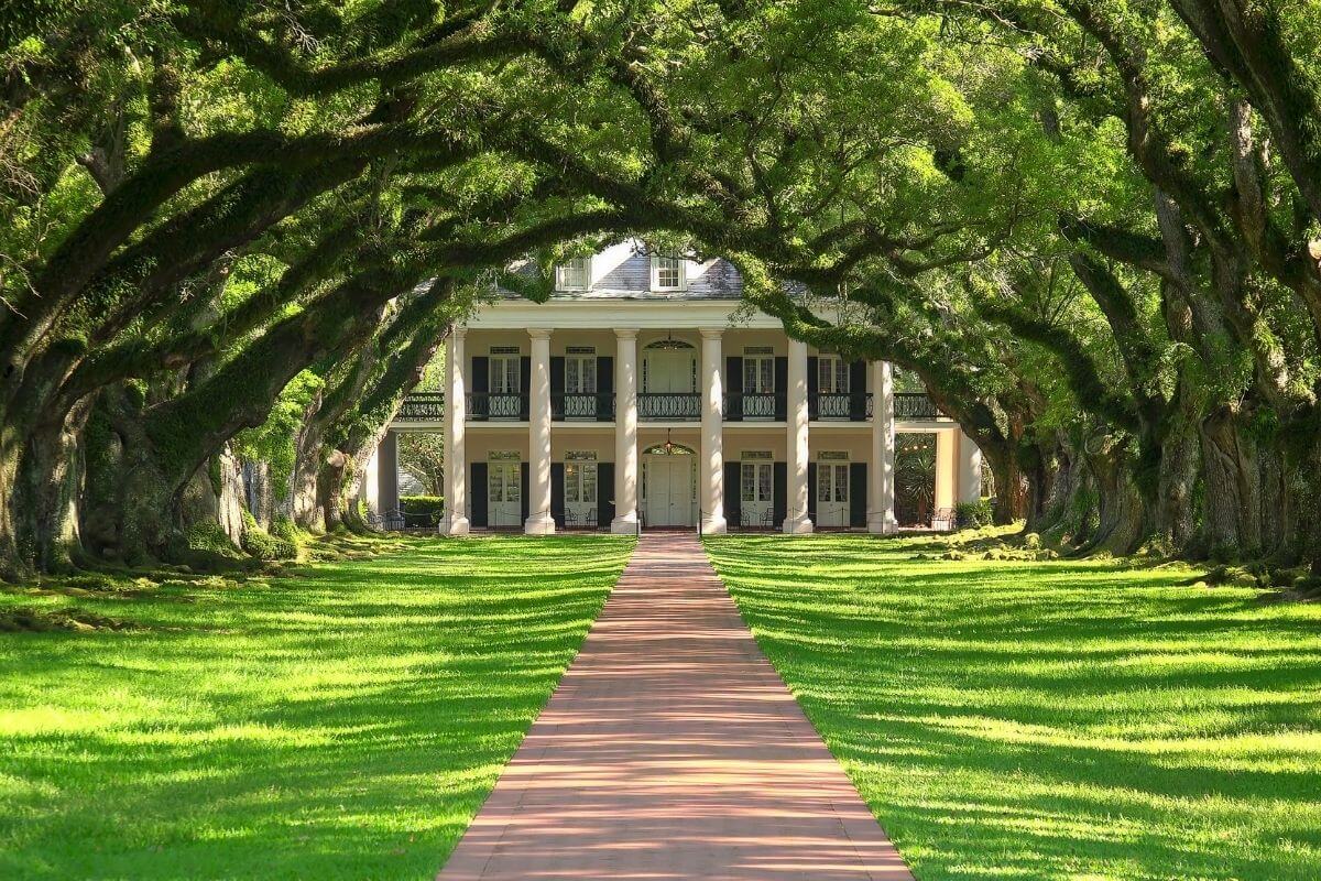 Oak Alley Plantation Tour