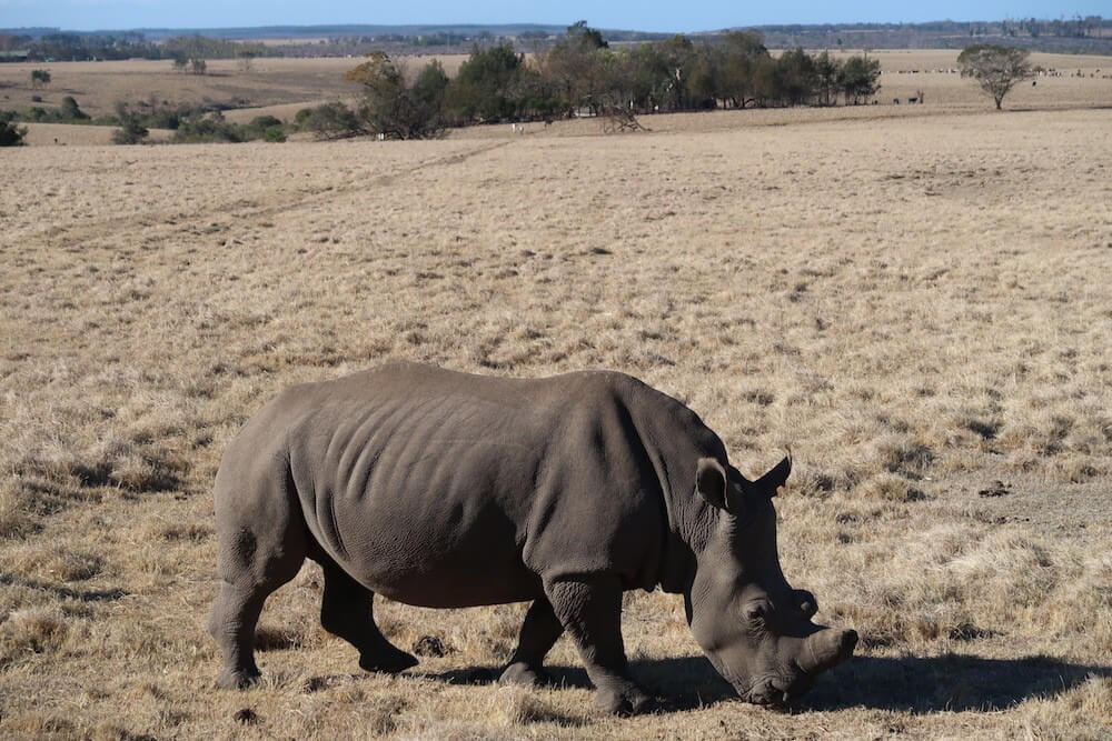 reasons to visit Knysna