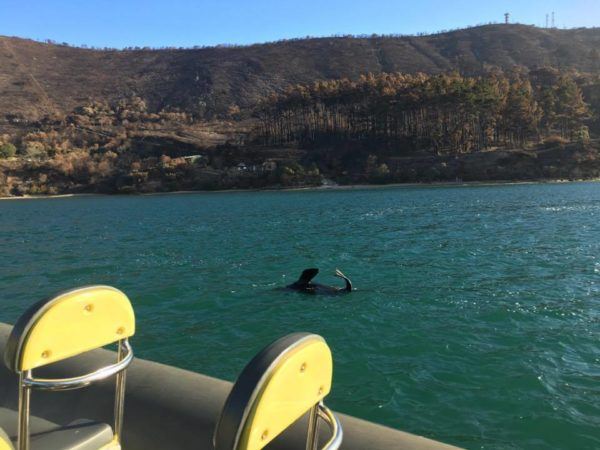 Reasons to Visit Knysna