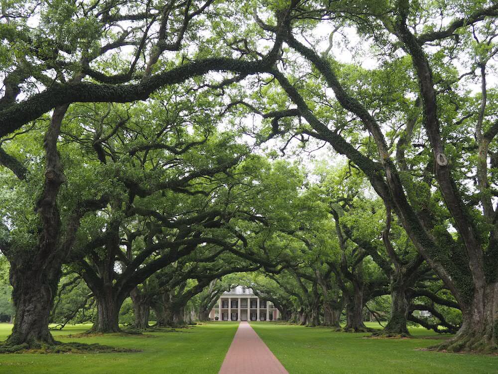 Louisiana Oak Alley Plantation