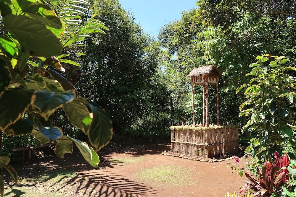 What is Papua New Guinea like?