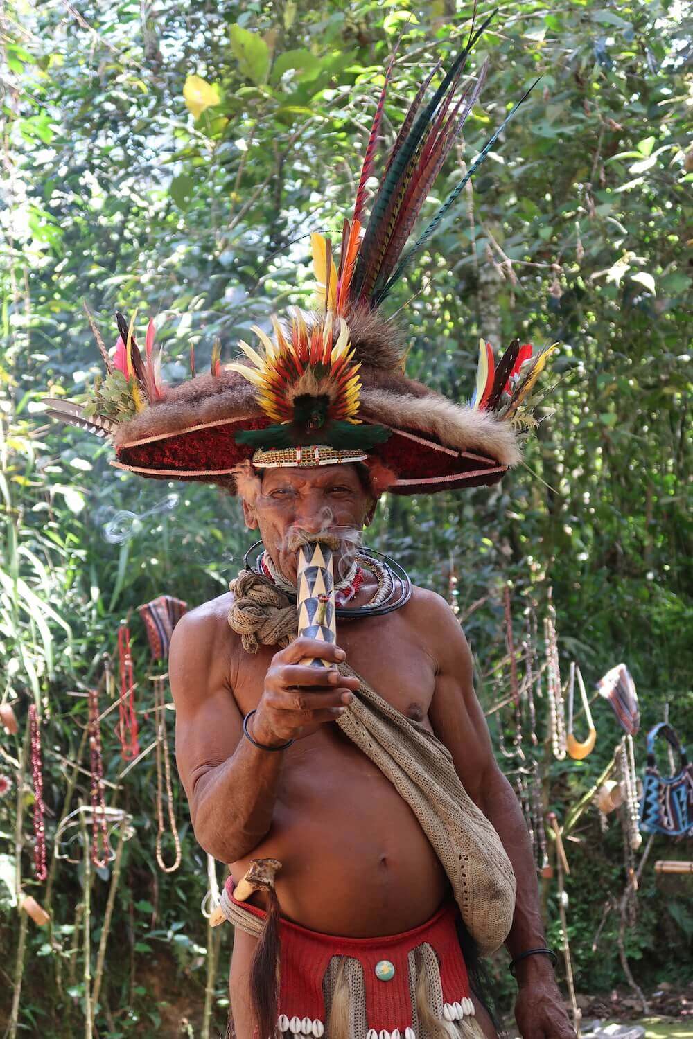 What was Papua New Guinea Like?