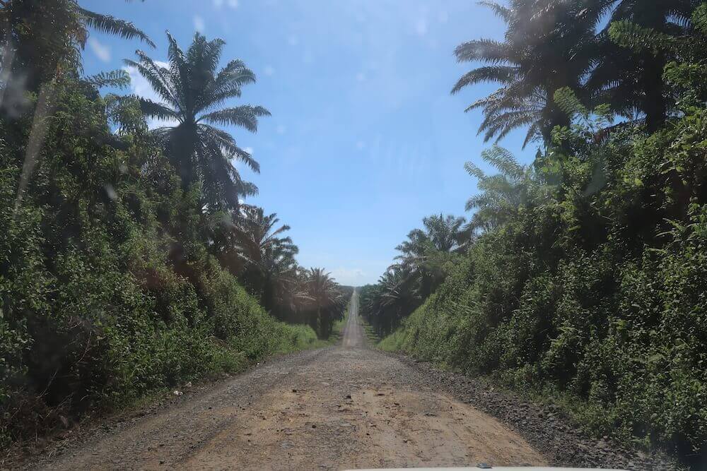 Arriving into Papua New Guinea