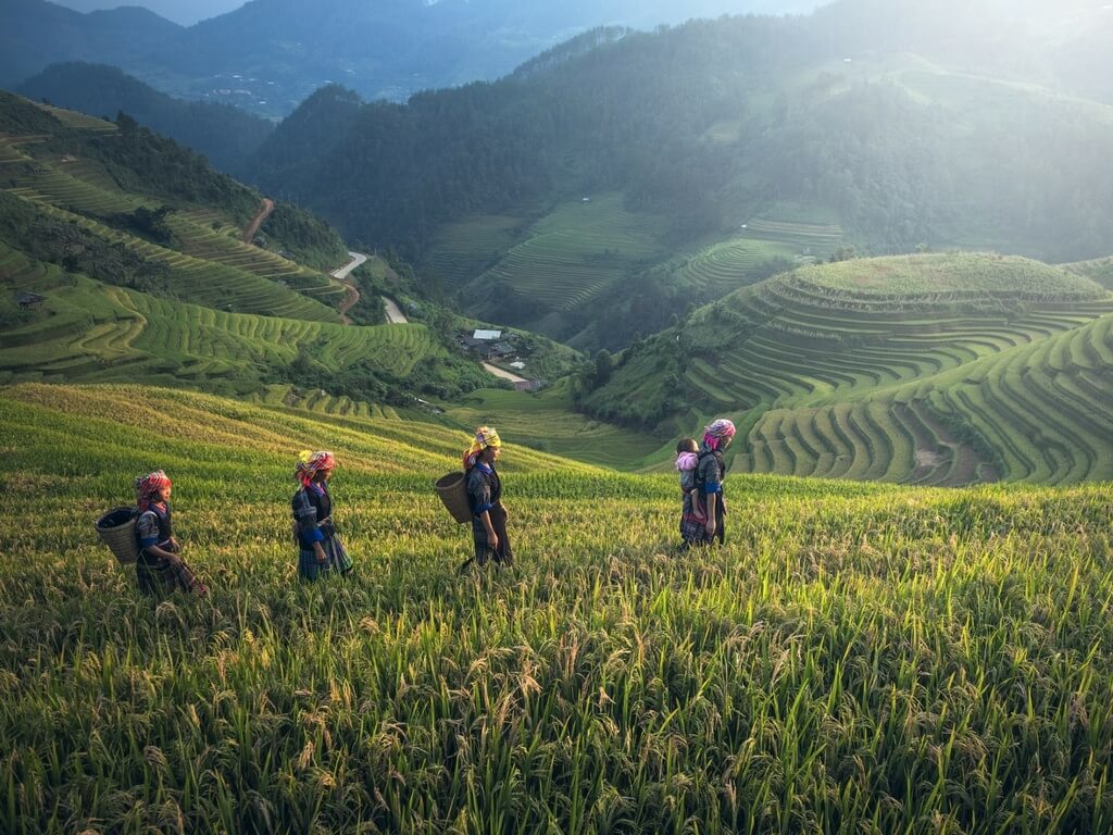 Souvenirs from Indonesia