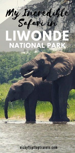 Liwonde National Park