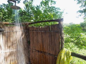 Elephants at Mvuu Lodge