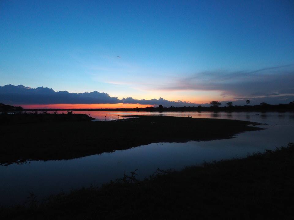 Elephant in Liwonde National Park 