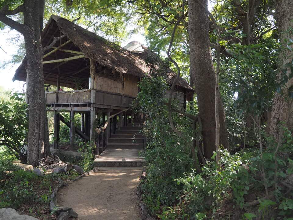 Malawi Safari Liwonde National Park