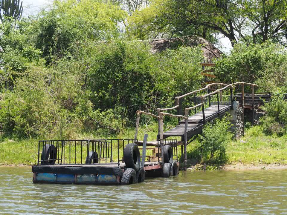 Elephant in Liwonde National Park 