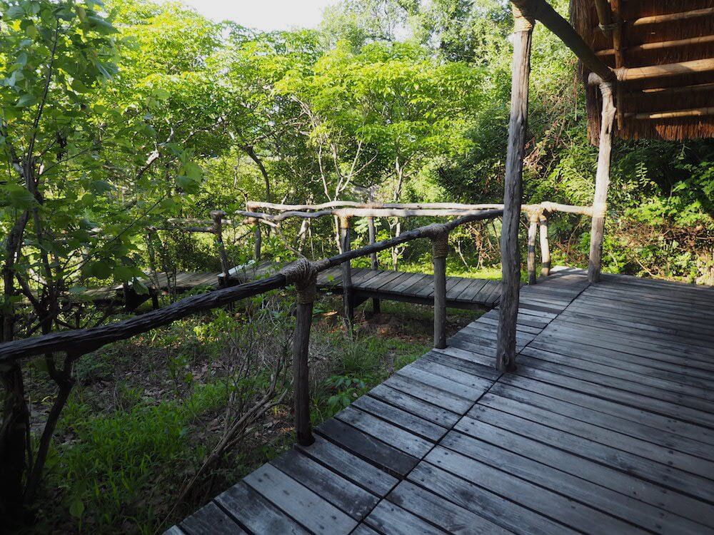 Elephants at Mvuu Lodge 